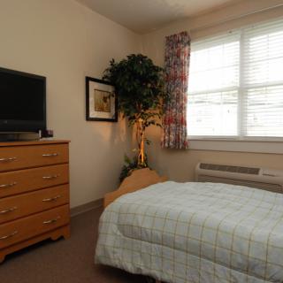 A cozy bedroom featuring a bed, dresser with a TV on top, plant, and window with curtains.