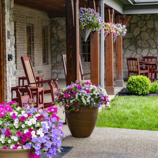 A charming garden patio with vibrant flowers and comfortable wooden seating.