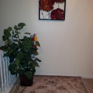 A hallway featuring a potted plant and wall art.