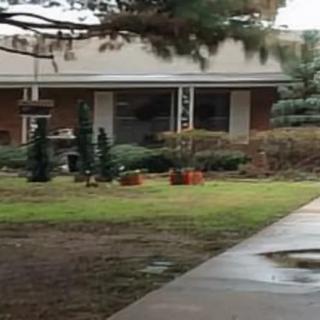 A building with a lawn, small trees, and bushes along a sidewalk.