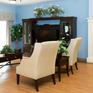 A cozy living room setup featuring comfortable chairs, a TV cabinet, and decorative plants.