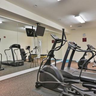 A well-equipped gym featuring treadmills and elliptical machines, complete with a large mirror.