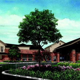 A landscaped garden in front of a building with a prominent tree and clear sky.