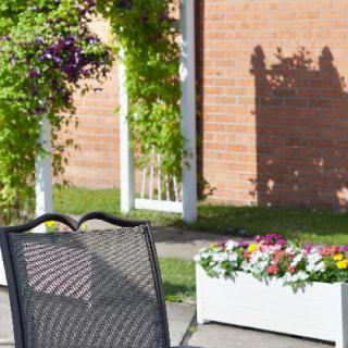A sunny garden patio with a chair, planter box of colorful flowers, and climbing plants against a brick wall.