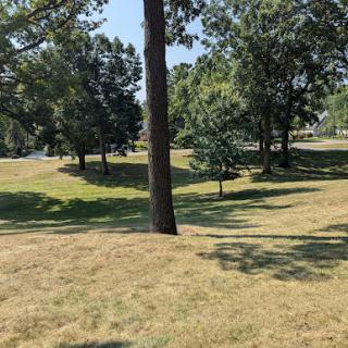 A serene park view showcasing lush trees and grassy hills on a sunny day.