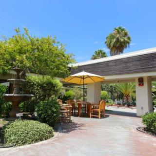A sunny outdoor patio with a table, chairs, and umbrella surrounded by lush greenery.