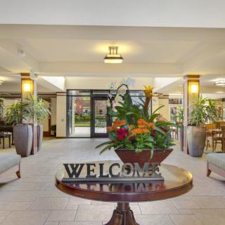 A welcoming lobby with elegant decor and vibrant plants.