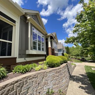 A row of houses with well-maintained gardens under a bright, sunny sky.