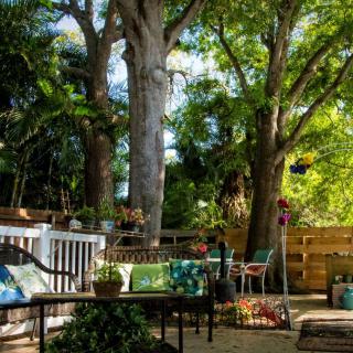 A serene backyard garden with lush greenery and comfortable outdoor seating.