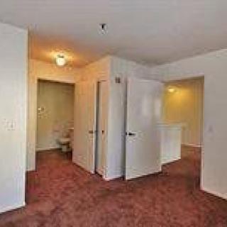 An interior view of a room with multiple doors, featuring carpet flooring and ceiling lighting.