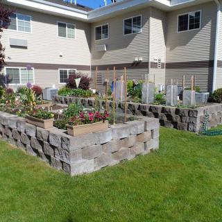 A residential garden featuring raised beds with various vegetables and plants.