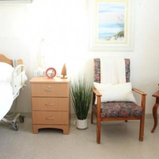A clean and minimalist hospital room featuring a bed, wooden nightstand, chair with cushion, and an indoor plant.
