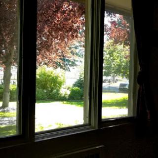 A serene view of a sunny day through a window, showcasing vibrant trees and greenery.