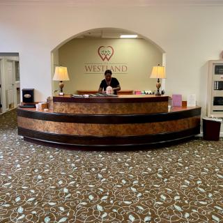 A welcoming reception area with a curved desk, decorative lighting, and patterned carpet.