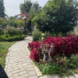 A picturesque garden with a stone pathway surrounded by vibrant flowers and lush greenery.