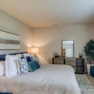 A modern and well-decorated bedroom with a large bed, side lamp, mirror, and indoor plant.