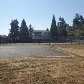 An empty tennis court surrounded by trees and a residential building under a clear blue sky.