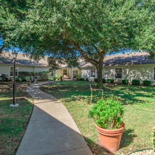 A serene courtyard features a large tree, garden landscaping, and a concrete pathway leading to residential buildings.