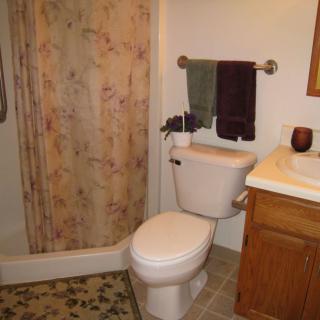 A cozy bathroom featuring a toilet, sink, and shower area with floral curtains.