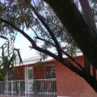 A brick house partially obscured by a tree in the foreground.