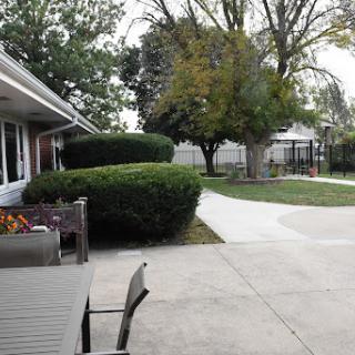 A serene outdoor space featuring well-maintained bushes, trees, and a smooth pathway.