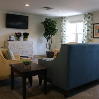 A cozy living room with modern decor, featuring a sofa, a television mounted on the wall, and indoor plants.