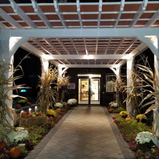 A beautifully lit entrance featuring a floral pathway and decorative elements, inviting visitors in during the night.