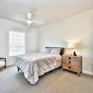 A minimalist bedroom with a bed, nightstand, and lamp under a ceiling fan.
