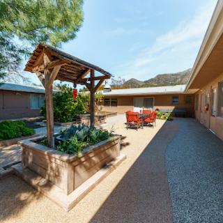 A serene courtyard featuring a pergola, vibrant plants, and comfortable seating for outdoor relaxation.