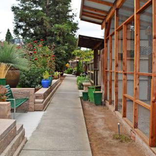 A serene garden pathway lined with potted plants and modern wooden architecture.