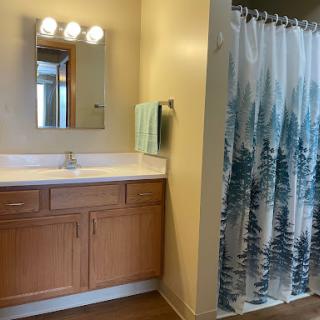 A well-lit bathroom featuring a simple vanity, a mirror, and a nature-themed shower curtain.