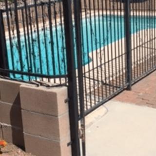 A swimming pool is enclosed by a secure fence and gate.