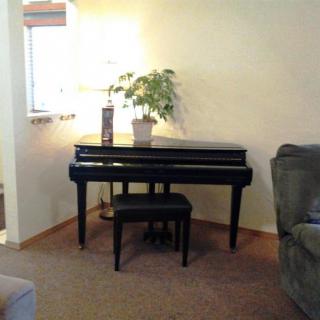 A living room with a black piano and bench, illuminated by a lamp and accompanied by a potted plant.