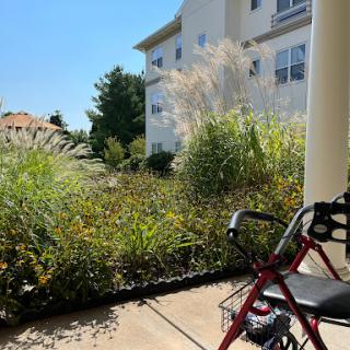 A sunny outdoor view with a garden and a wheelchair resting on the patio.