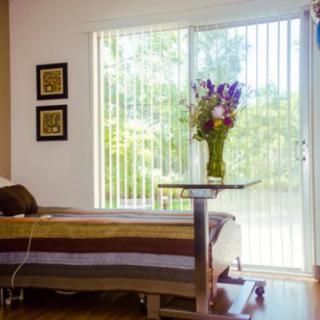 A hospital room with a patient bed and flowers on the bedside table near large windows.