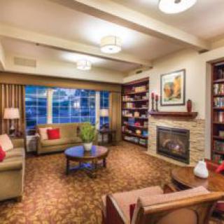 A cozy living room with a fireplace and bookshelves.