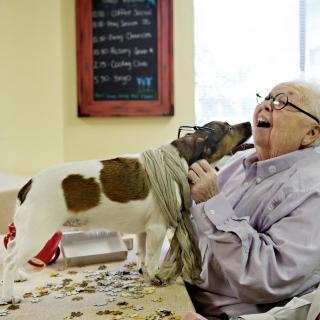 An elderly person joyfully interacting with a dog indoors.