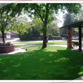 A peaceful garden with lush green grass, surrounded by trees and a shaded patio area.