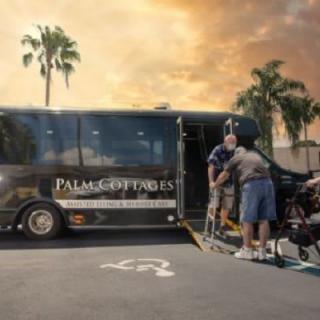 A bus with wheelchair accessibility, parked near palm trees at sunset.