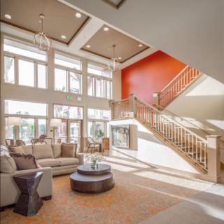 Spacious living room with a modern design, featuring large windows and an orange accent wall.