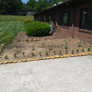 A freshly landscaped garden featuring a flowerbed with small plants and neatly trimmed bushes near a residential building.