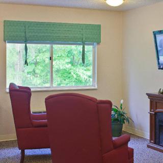 A cozy living room with two red chairs, a window with green curtains, a fireplace, and a TV.