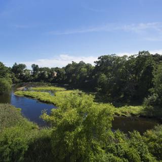 A serene view of a river winding through dense greenery under a clear blue sky.