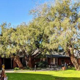 A cozy house surrounded by a lush garden with tall trees on a sunny day.