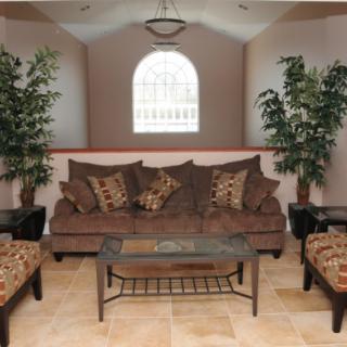 A cozy living room featuring a plush sofa with decorative pillows, flanked by large indoor plants and centered around a glass coffee table.