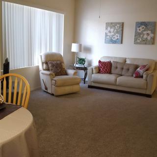 A cozy living room with a sofa, armchair, and decorative elements.