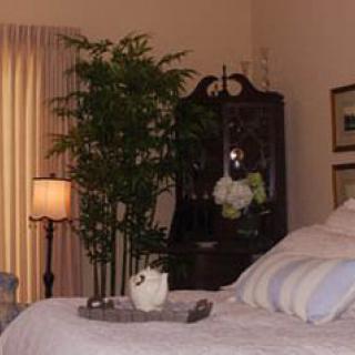 A cozy bedroom with a plant and soft lighting.