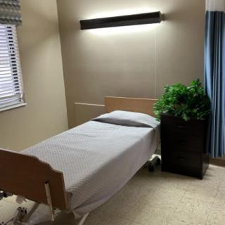 A minimalistic hospital room with a single bed and a potted plant.
