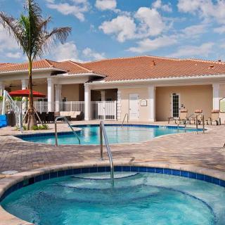 A relaxing resort with a swimming pool and tropical palm tree under a sunny sky.