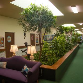 A lounge area with a purple sofa, surrounded by indoor plants and lit by table lamps.